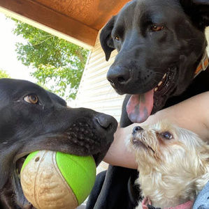 Meet your Posher, Misty